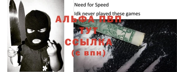 прущие грибы Покачи