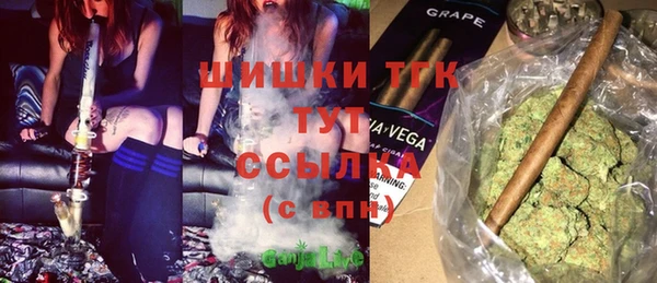 индика Покров