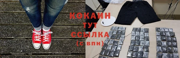 прущие грибы Покачи