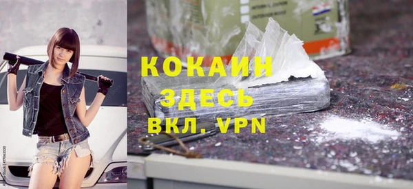 индика Покров